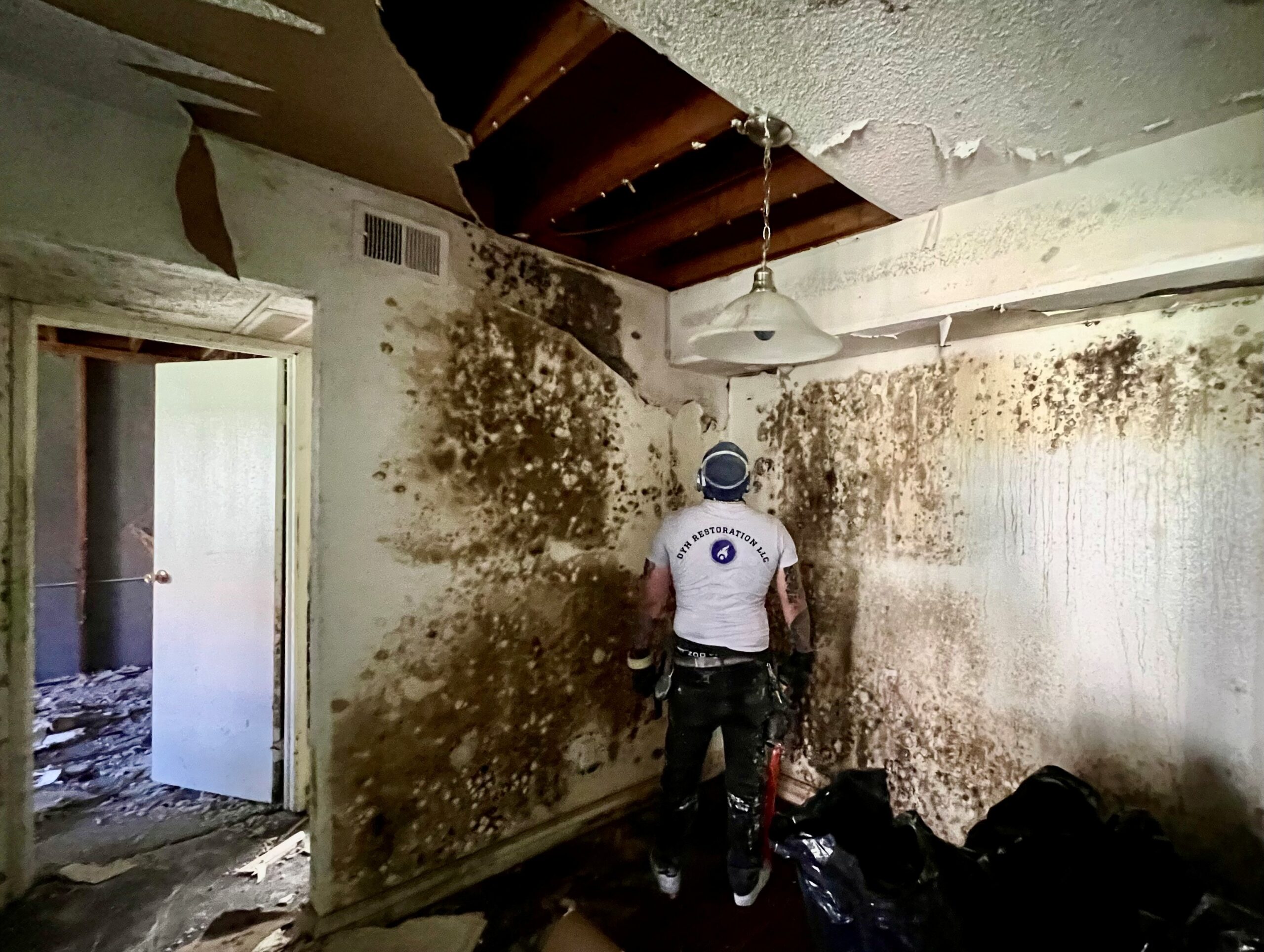 Mold Restoration